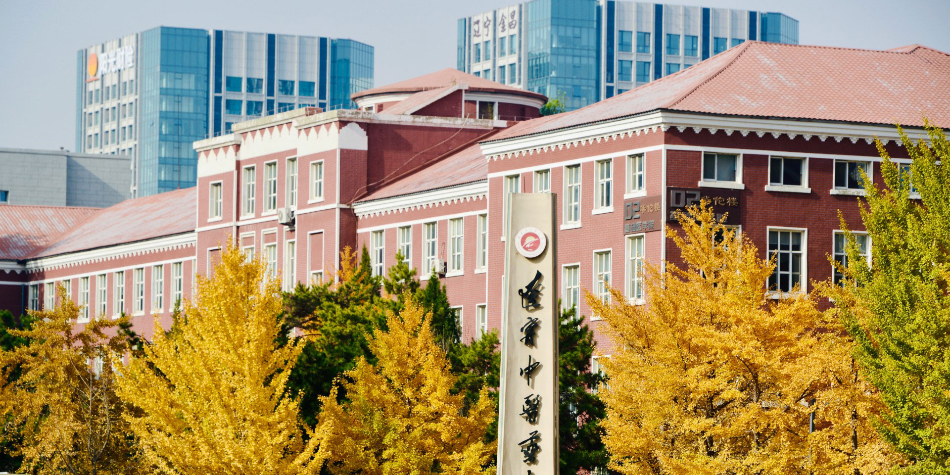辽宁中医药大学 gallery image 1